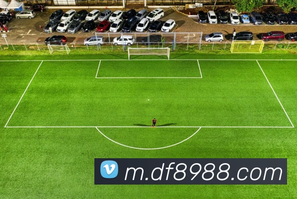 APP界面展示